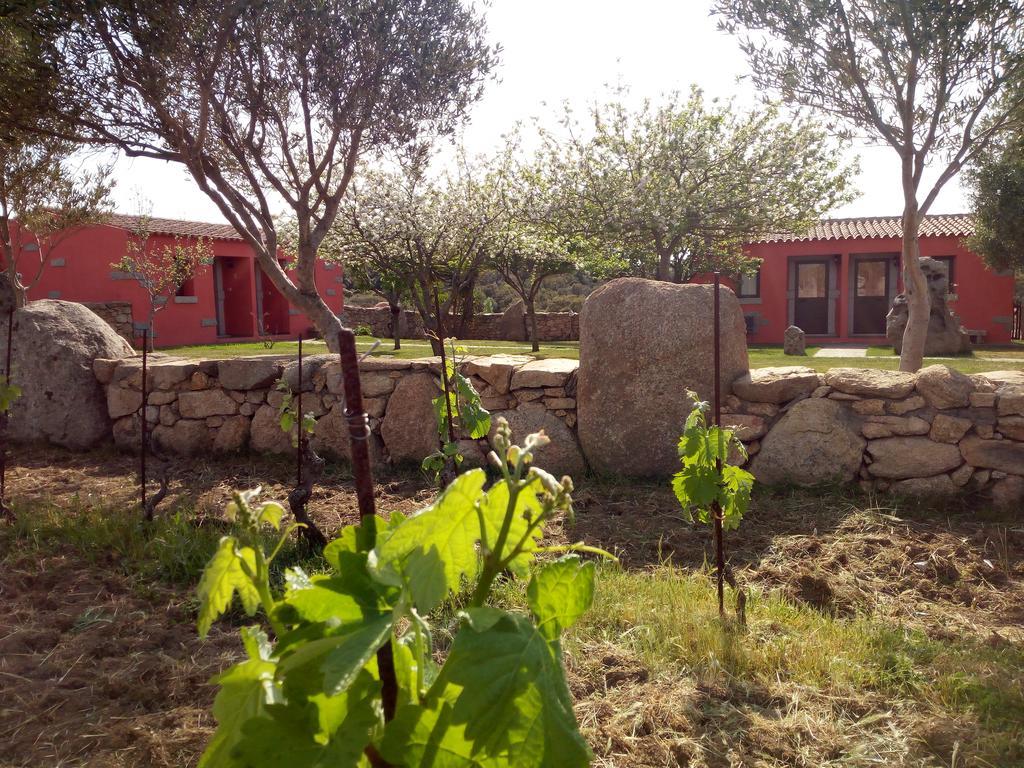 Villa Turismo Rurale L'Agliuledda Sant’Antonio di Gallura Exterior foto